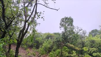 तुंग किल्ल्याच्या पायथ्याशी मातीचा खराळ वाहून आला; तुंग गावठाणाला धोका कायम