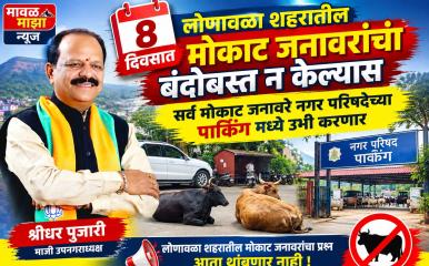 आठ दिवसात लोणावळा शहरातील मोकाट जनावरांचा बंदोबस्त न केल्यास सर्व मोकाट जनावरे नगर परिषदेच्या पार्किंग मध्ये उभी करणार - माजी उपनगराध्यक्ष श्रीधर पुजारी